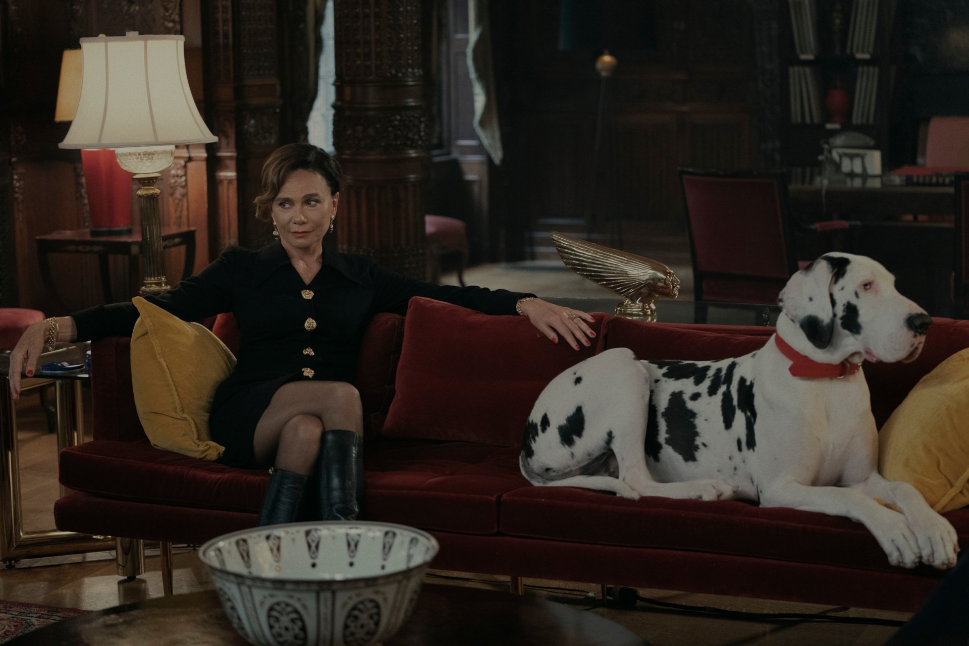 Download Lena Olin TV Show Hunters HD Wallpaper