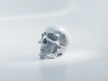 dark skull HD Desktop Wallpaper | Background Image