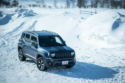  Jeep Renegade Trailhawk 4xe (BU)