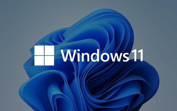 Windows 11 HD Wallpaper | Background Image | 3000x2000