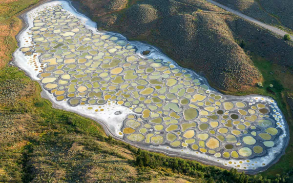 Canada nature Spotted Lake HD Desktop Wallpaper | Background Image