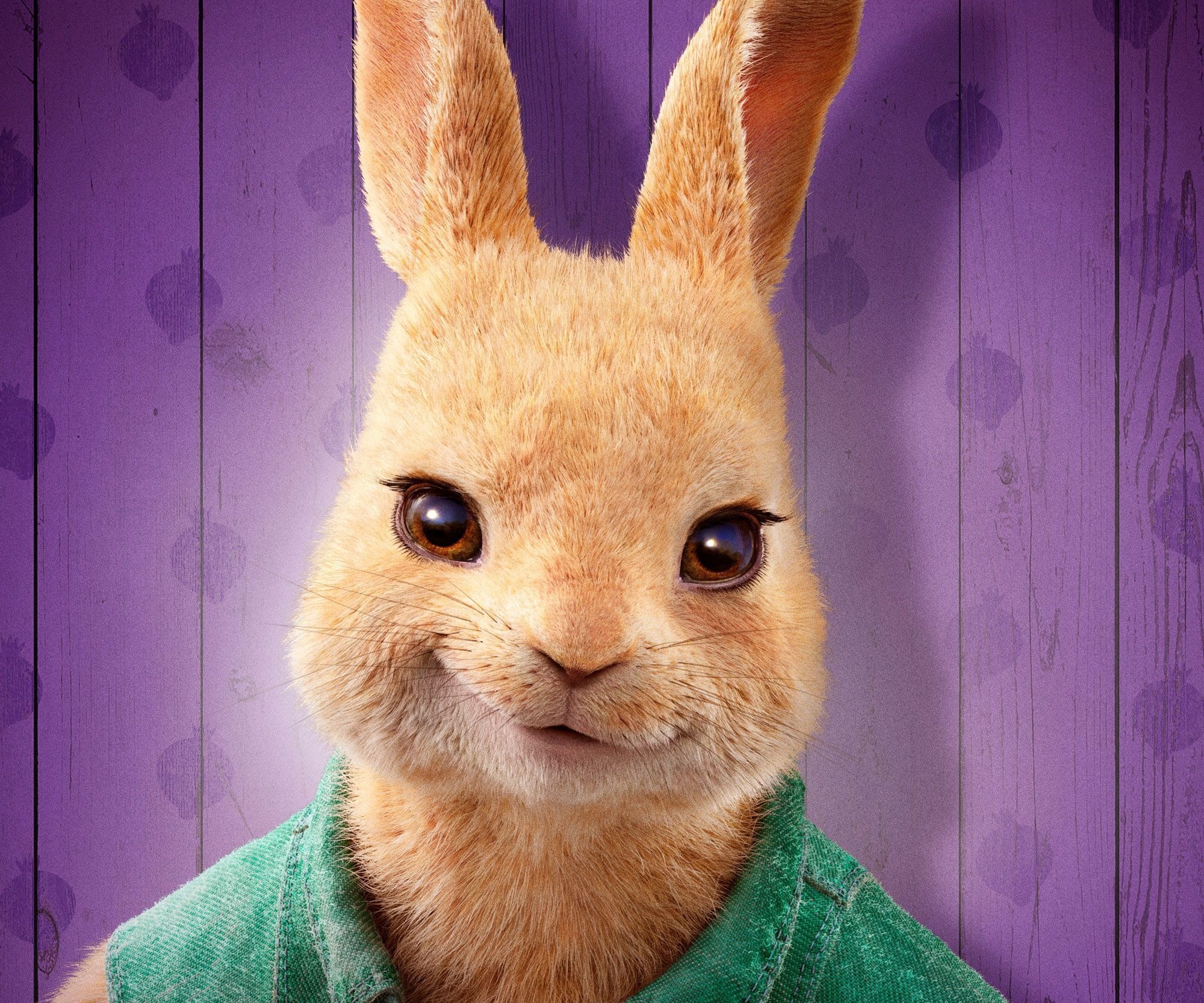 Peter Rabbit Wallpapers  Top Free Peter Rabbit Backgrounds   WallpaperAccess