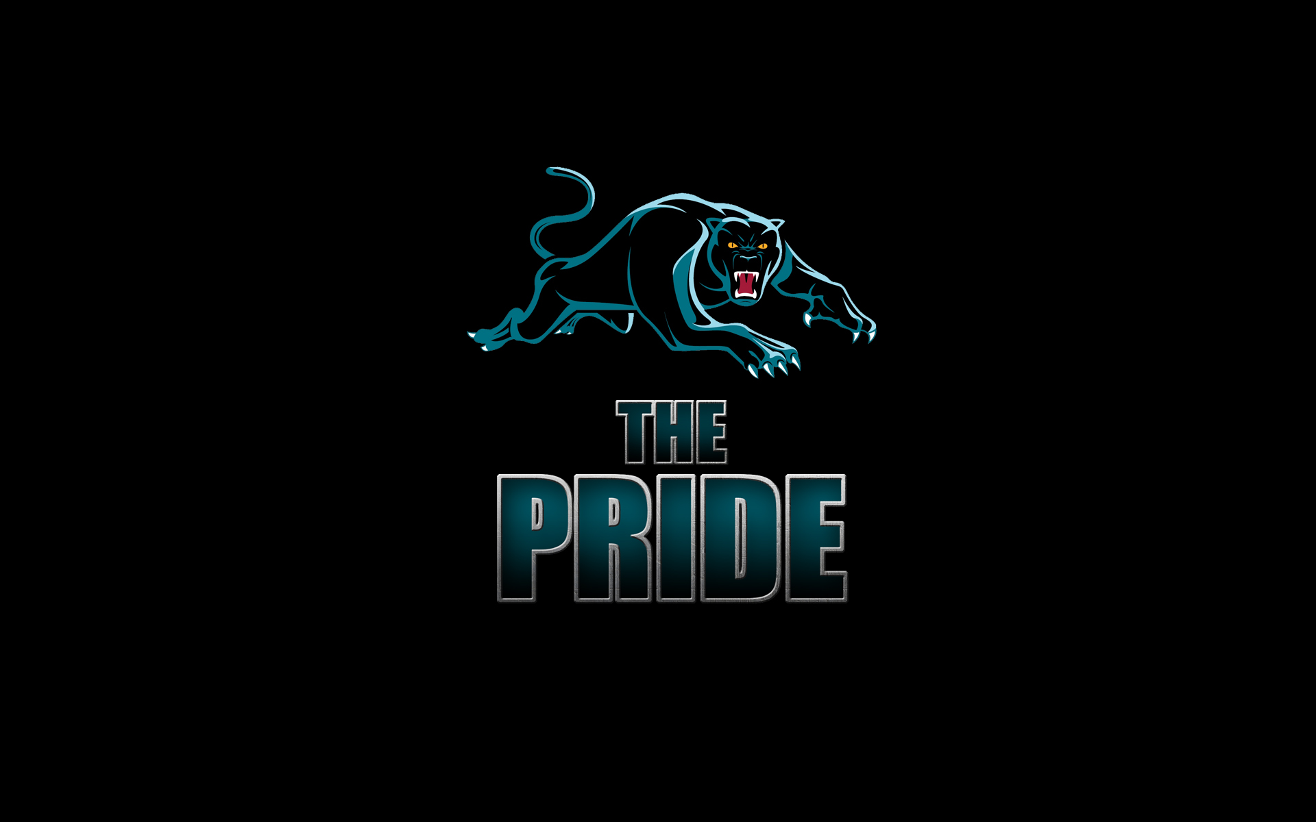 Sports Penrith Panthers HD Wallpaper | Background Image