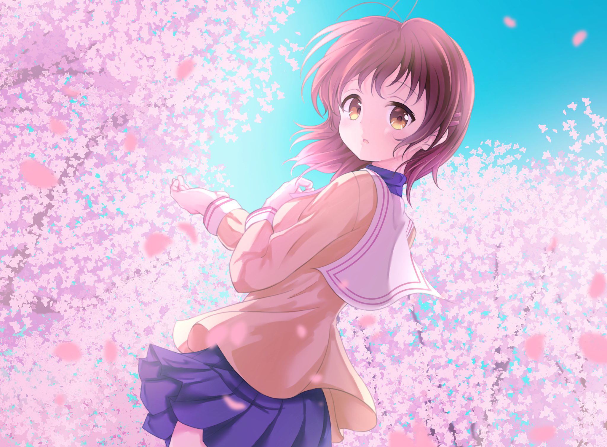 Nagisa - Clannad Photo (32964849) - Fanpop