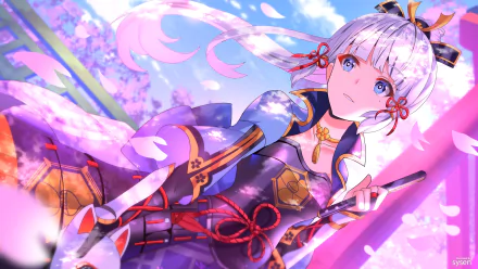 HD desktop wallpaper of Kamisato Ayaka from Genshin Impact, showcasing her poised under falling cherry blossoms with a captivating background.