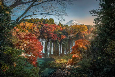 HD wallpaper showcasing fall colors at Shiraito Falls, Japan, with Mount Fuji in the background. The vibrant autumn leaves frame the cascading waterfalls, creating a serene nature scene.