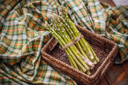 food asparagus HD Desktop Wallpaper | Background Image