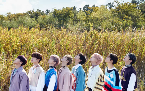 HD desktop wallpaper featuring the K-pop boy band Stray Kids standing side by side against a backdrop of tall grass and trees.