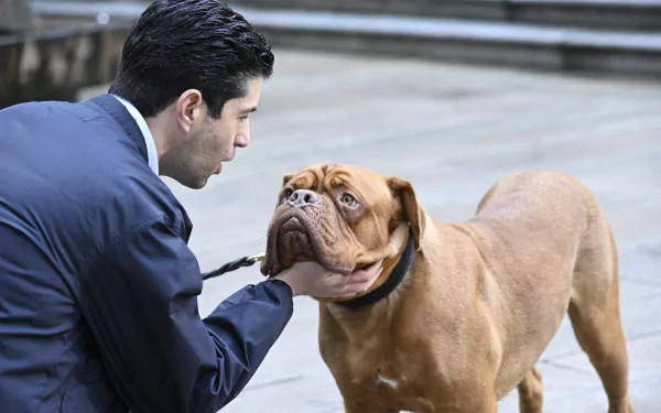 Josh Peck TV Show Turner & Hooch HD Desktop Wallpaper | Background Image