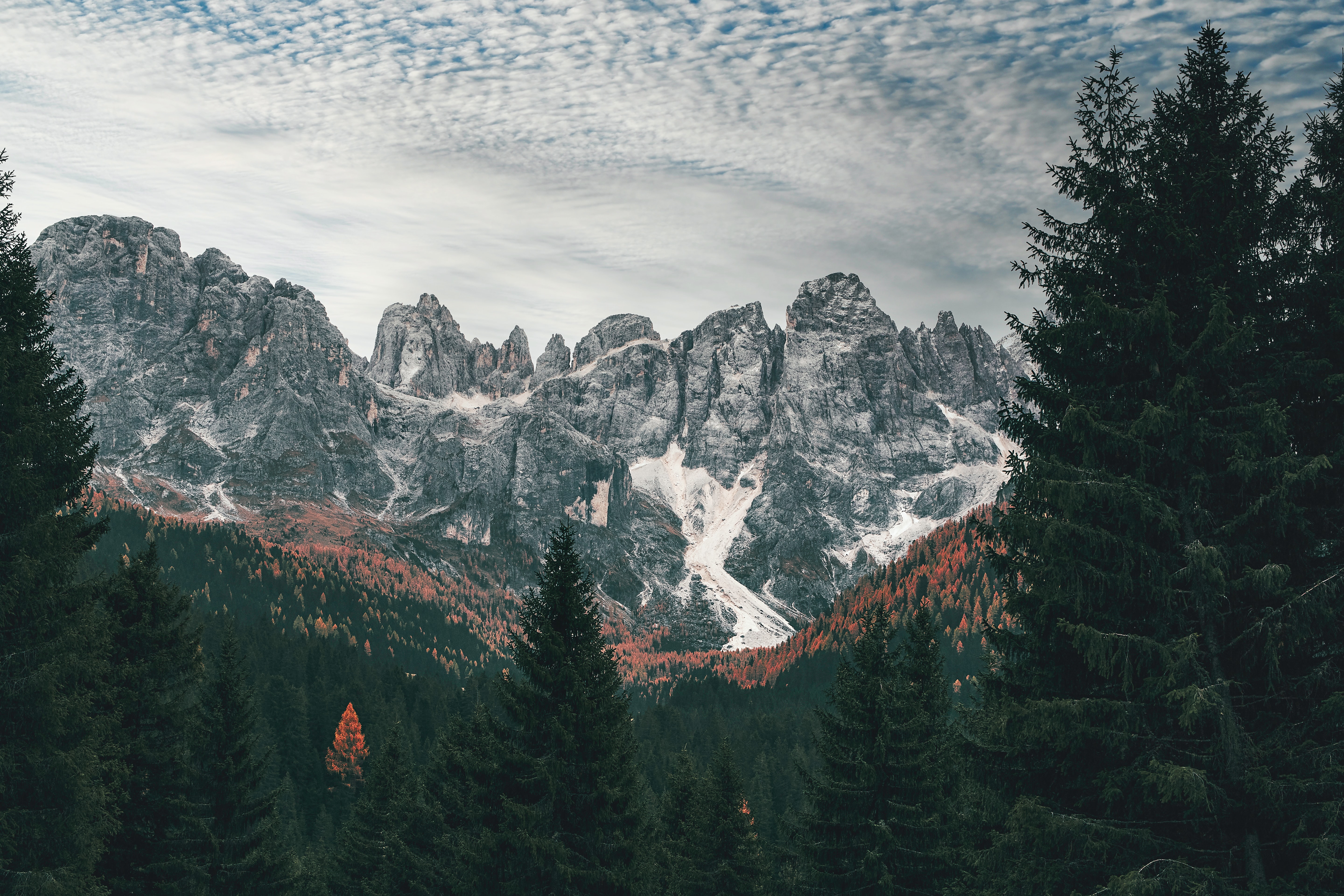 Nature Alps Mountain HD Wallpaper | Background Image