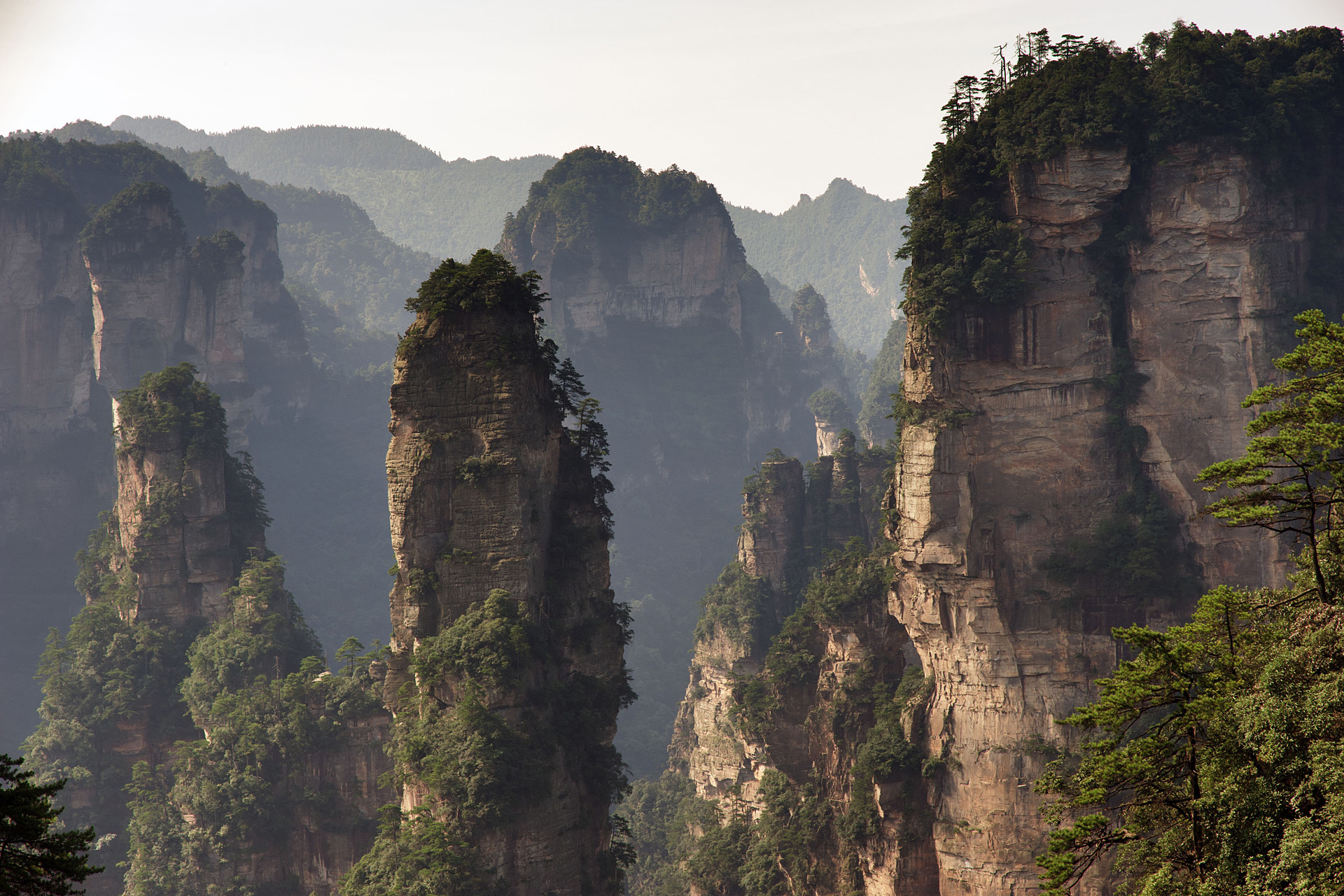 Earth Zhangjiajie National Forest Park HD Wallpaper | Background Image