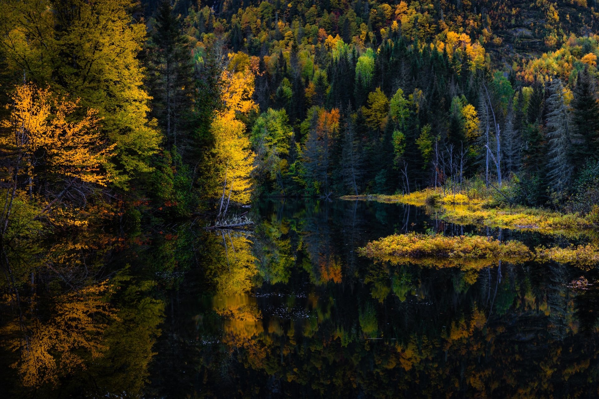 Download Fall Lake Nature Reflection HD Wallpaper | 3072x2048 ...