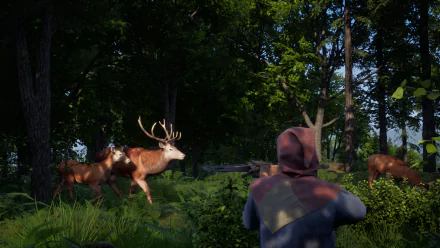 video game Medieval Dynasty HD Desktop Wallpaper | Background Image