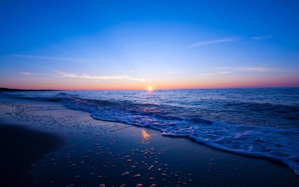 Nature Sunset Ocean Beach HD Wallpaper | Background Image