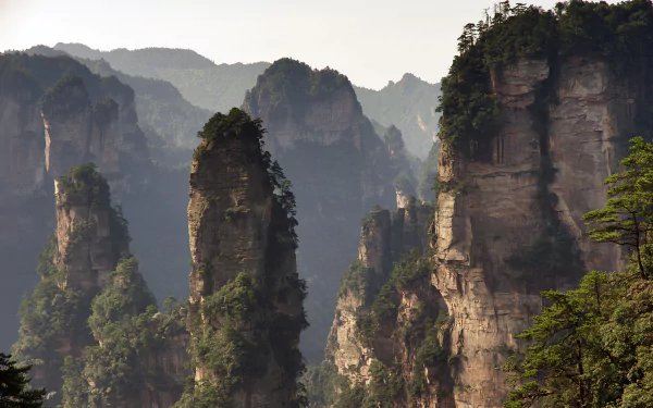 cliff China nature Zhangjiajie National Forest Park HD Desktop Wallpaper | Background Image