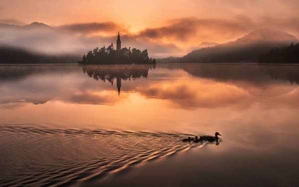 Religious Assumption of Mary Church Churches Lake Reflection Slovenia Lake Bled HD Wallpaper | Background Image