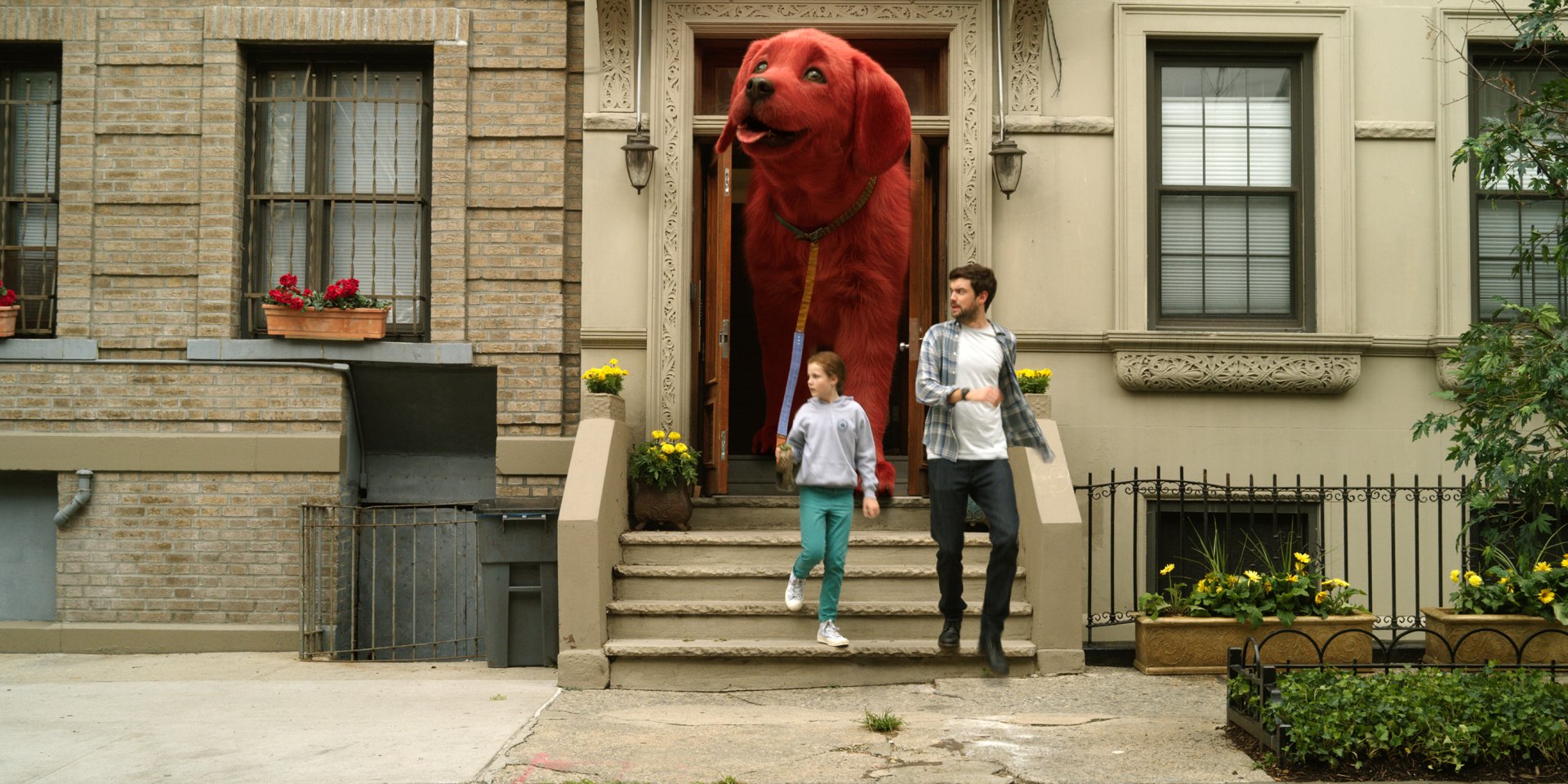 Download Darby Camp Jack Whitehall Movie Clifford The Big Red Dog HD Wallpaper