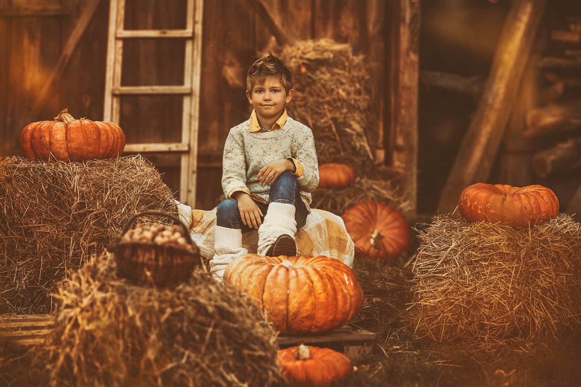 Download Little Boy Pumpkin Photography Child HD Wallpaper