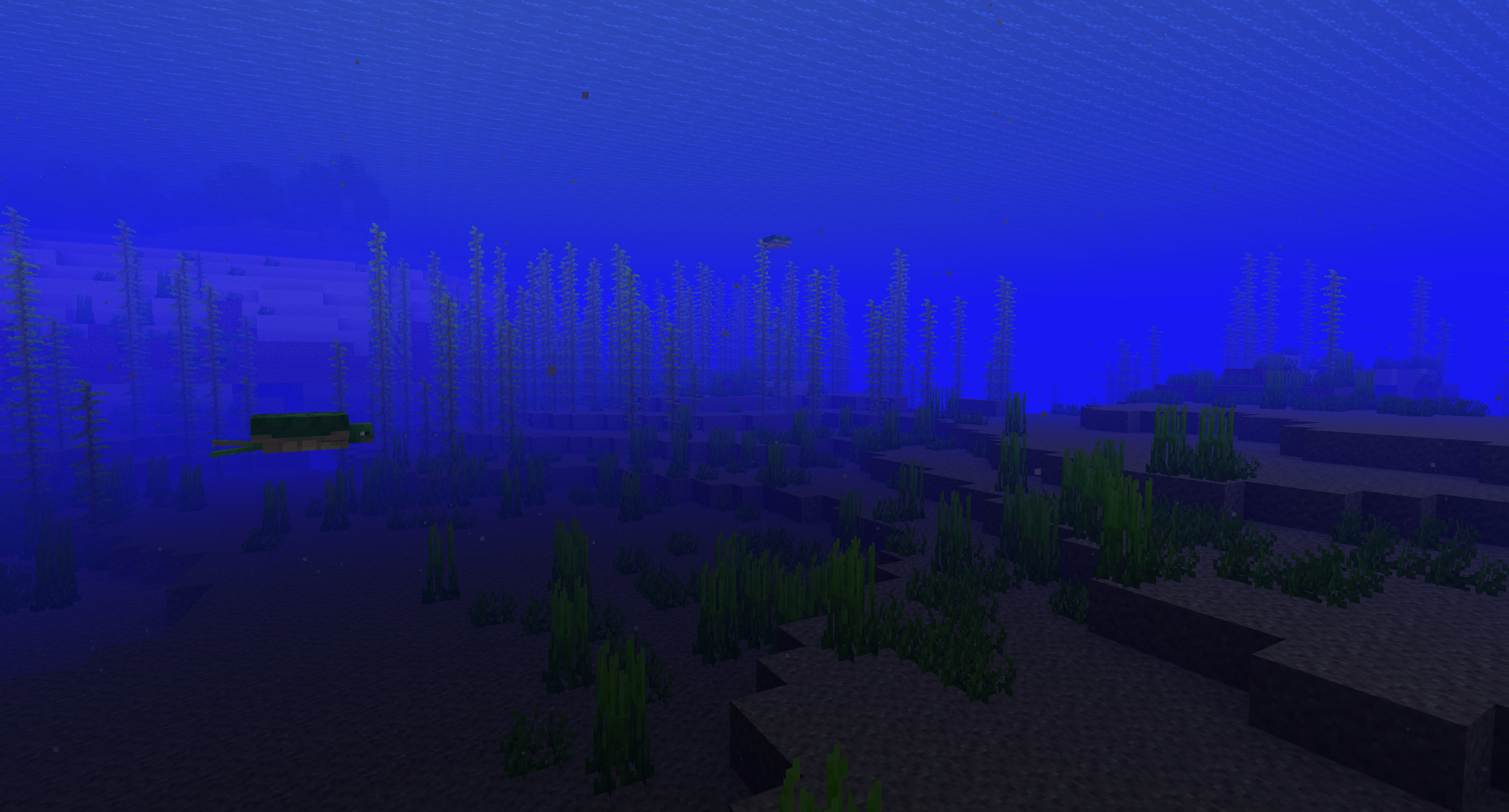 2K Quad HD Minecraft underwater scene: blocky seafloor, sea grass and a swimming turtle — video game PC desktop wallpaper/background