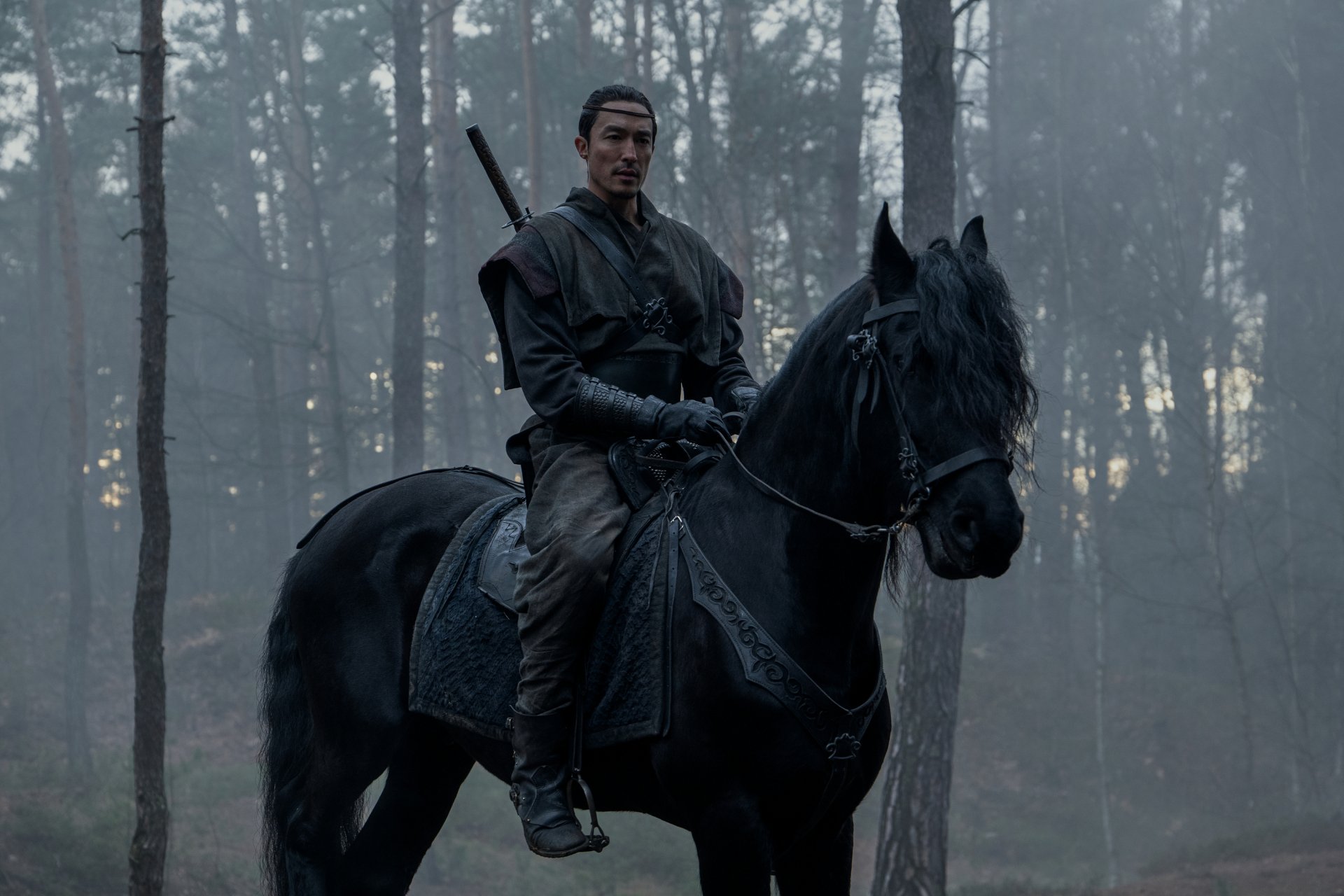 Download Lan Mandragoran Daniel Henney TV Show The Wheel Of Time HD Wallpaper