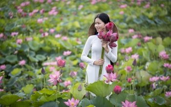 10 4k Ultra Hd 莲花壁纸 背景