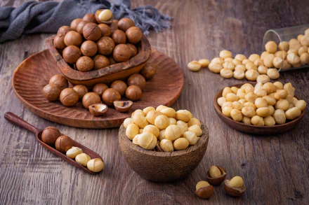 food nut HD Desktop Wallpaper | Background Image