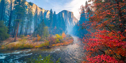 river national park nature Yosemite National Park HD Desktop Wallpaper | Background Image