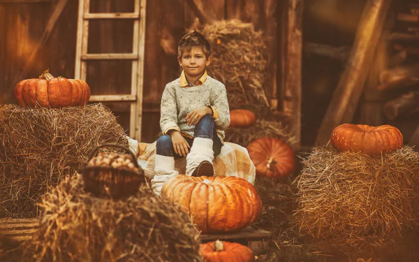 little boy pumpkin photography child HD Desktop Wallpaper | Background Image