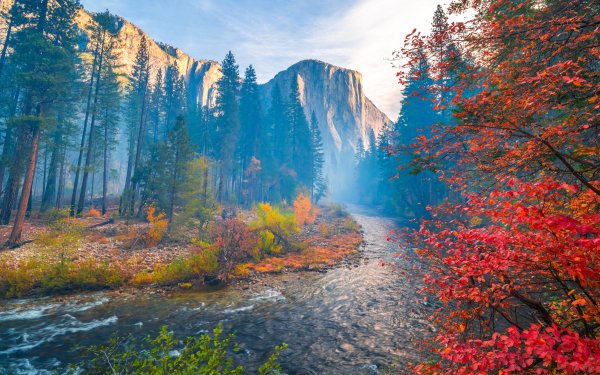 Earth Yosemite National Park National Park River HD Wallpaper | Background Image