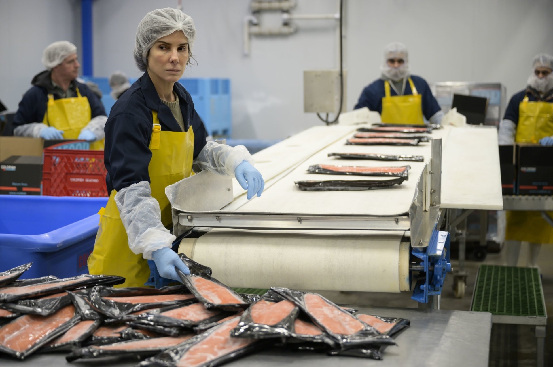 Download Sandra Bullock Movie The Unforgivable HD Wallpaper