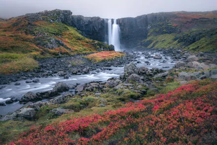 waterfall Iceland nature Seljalandsfoss HD Desktop Wallpaper | Background Image