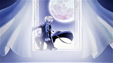 HD PC desktop wallpaper of Lugh Tuatha Dé from The World's Finest Assassin Gets Reincarnated in Another World as an Aristocrat — moonlit window scene with flowing cloak and curtains.