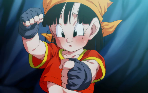 Pan (Dragon Ball) Anime Dragon Ball GT HD Desktop Wallpaper | Background Image