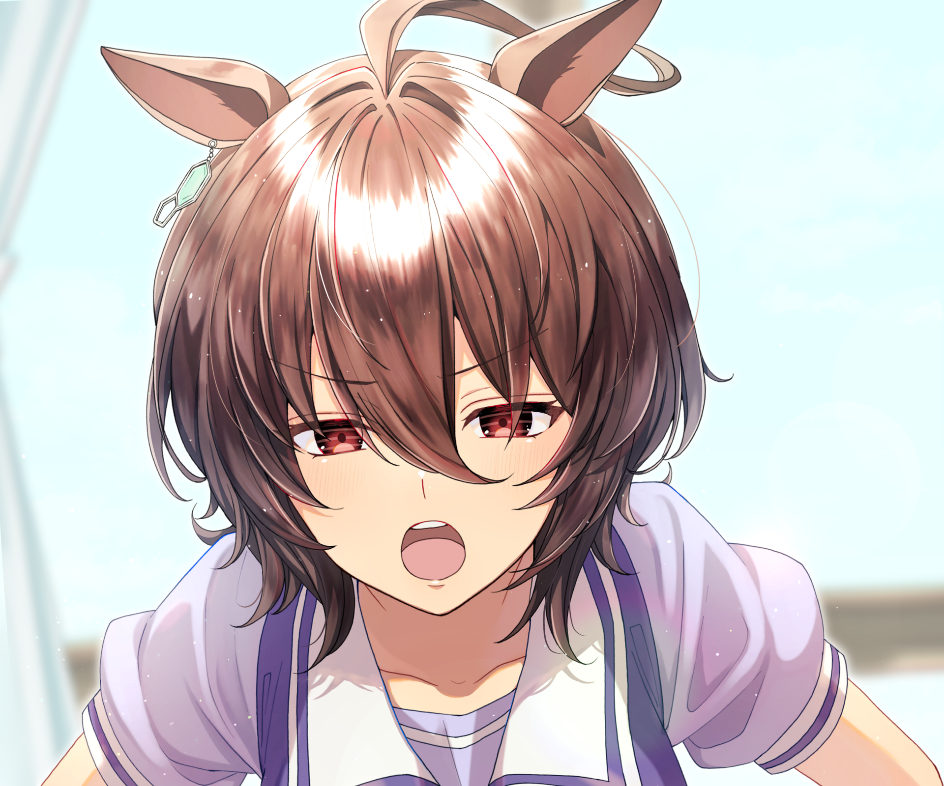 Download Shinko Windy Anime Uma Musume: Pretty Derby HD Wallpaper