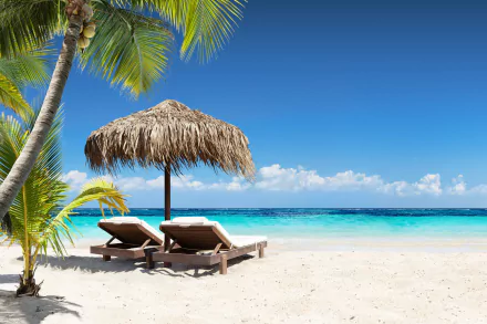 tropical photography beach tropical beach HD Desktop Wallpaper | Background Image