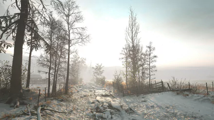 HD desktop wallpaper from Hell Let Loose featuring a wintry forest scene with sunlight filtering through bare trees and a snow-covered ground.
