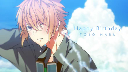 Haru Tojo video game Hero's Park HD Desktop Wallpaper | Background Image