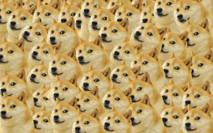 HD desktop wallpaper featuring a pattern of multiple Doge, the Shiba Inu meme dog, for a fun and quirky computer background.