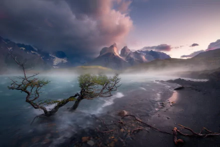 Lake Peho patagonia Chile nature Torres del Paine HD Desktop Wallpaper | Background Image