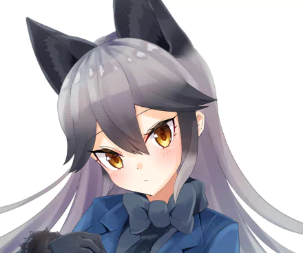 Silver Fox (Kemono Friends) Anime Kemono Friends HD Desktop Wallpaper | Background Image