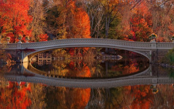 Man Made Bridge Bridges Park Reflection HD Wallpaper | Background Image