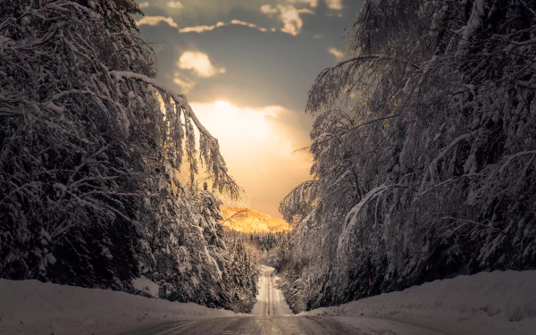 Sweden winter man made road HD Desktop Wallpaper | Background Image