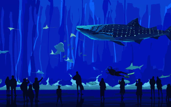 shark aquarium diver Animal artistic HD Desktop Wallpaper | Background Image