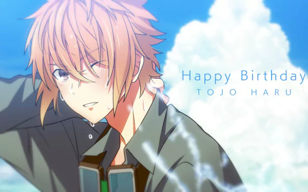 Haru Tojo video game Hero's Park HD Desktop Wallpaper | Background Image