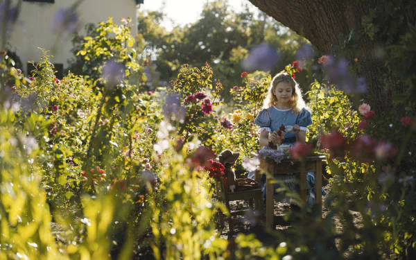 movie Redeeming Love HD Desktop Wallpaper | Background Image