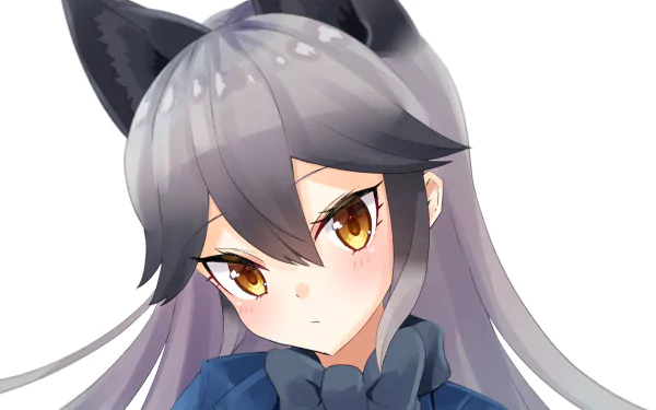 Silver Fox (Kemono Friends) Anime Kemono Friends HD Desktop Wallpaper | Background Image