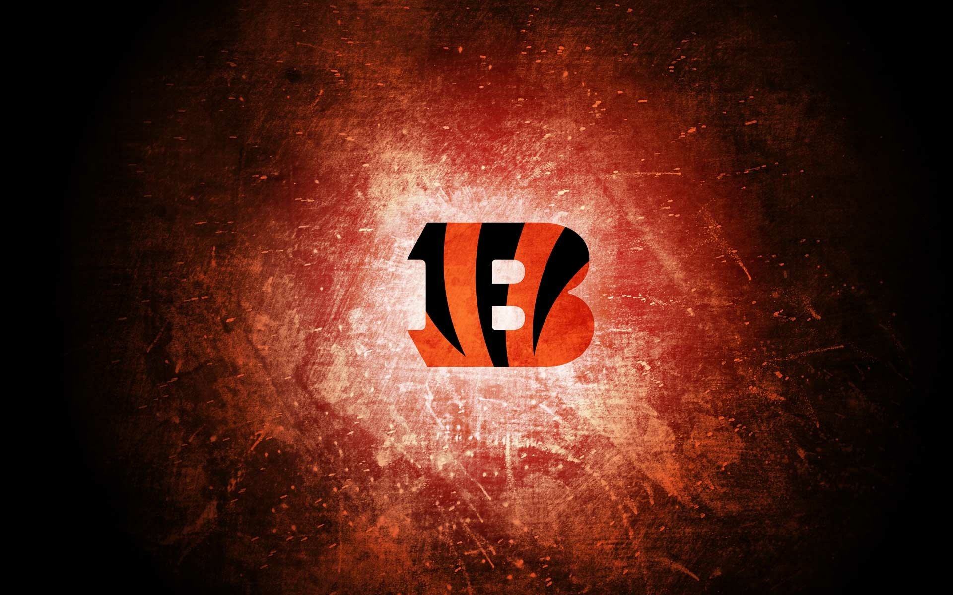Download Cincinnati Bengals Sports HD Wallpaper