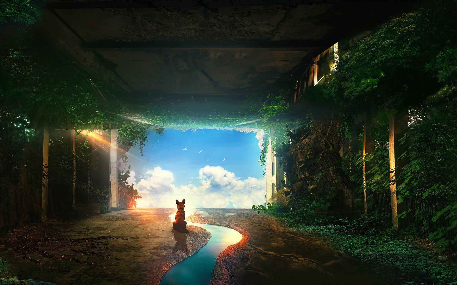 A dog sits in a lush, overgrown, abandoned building with sunlight streaming through. A serene river runs alongside, leading to a bright, open sky. HD desktop wallpaper and background.