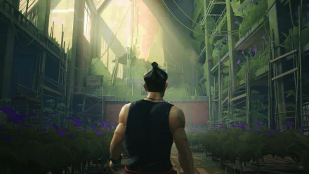 HD PC desktop wallpaper featuring a scene from the video game Sifu, showing a character standing in a sunlit, overgrown urban environment.