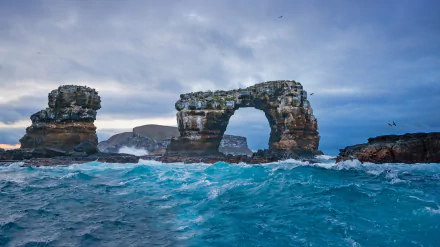  Darwin's Arch with Darwin Island in background, Galápagos, Ecuador by miralex